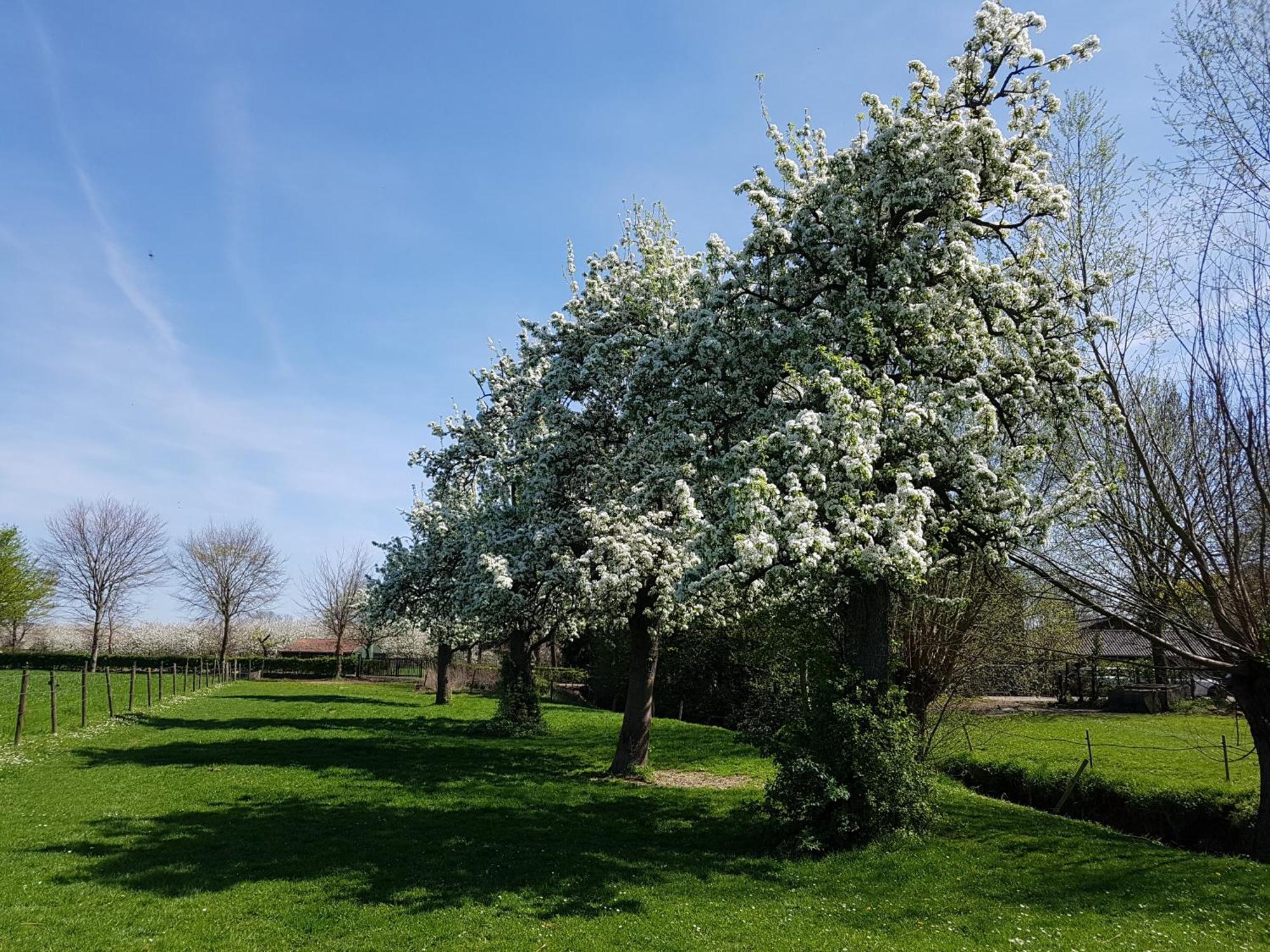 Meschermolen 9 Zewnętrze zdjęcie